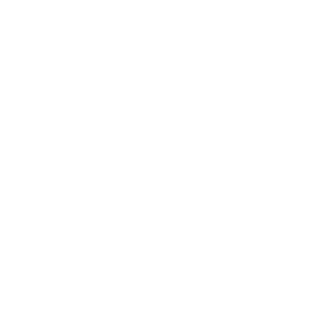 DH Pools, Inc. logo white